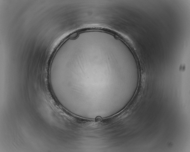 X0000114531279200911091102