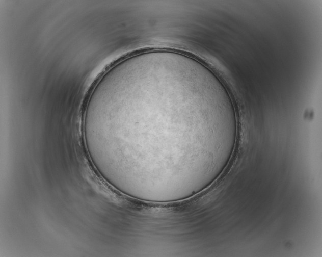 X0000114531280200911091102
