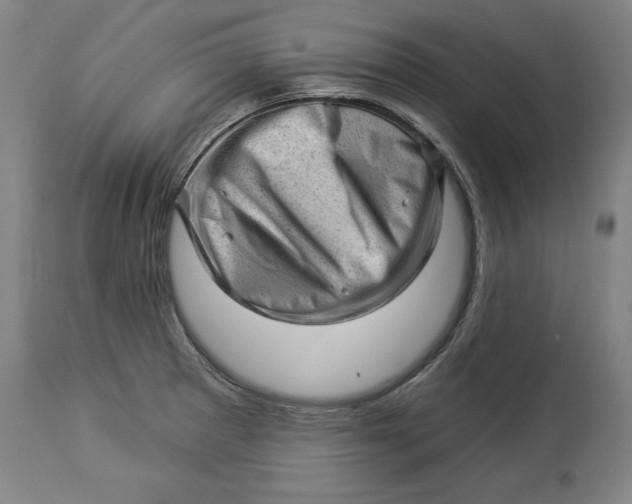 X0000114531281200911091102