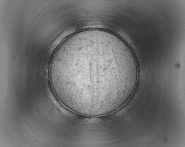 X0000114531282200911091102