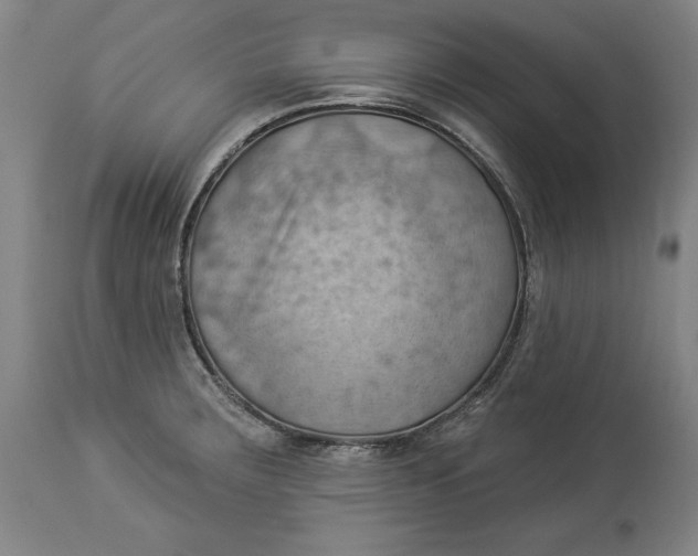 X0000114531283200911091102