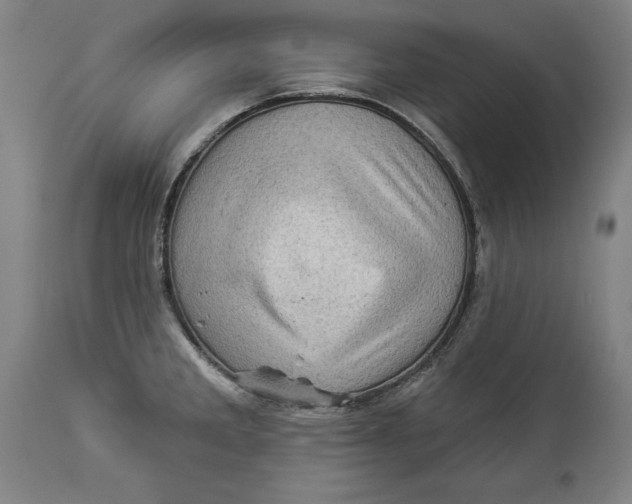X0000114531285200911091102