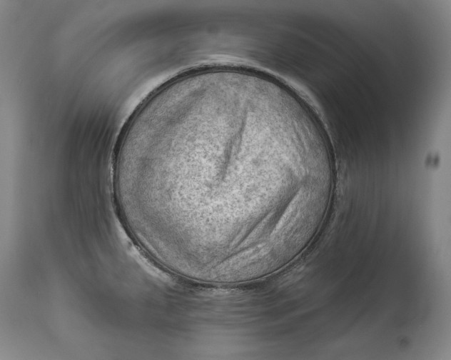 X0000114531287200911091102