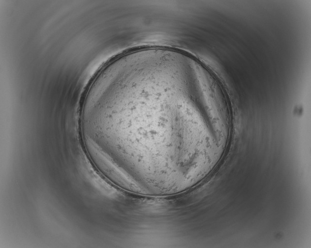 X0000114531288200911091102