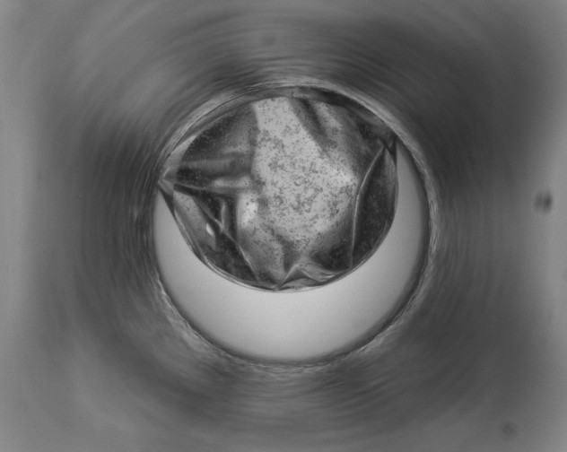 X0000114531289200911091102