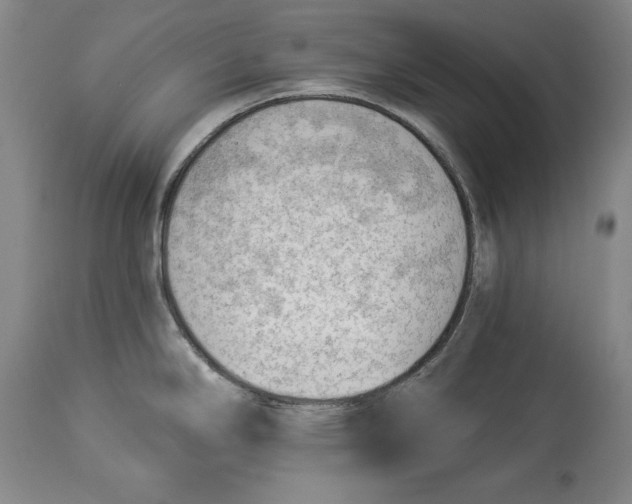 X0000114531294200911091102