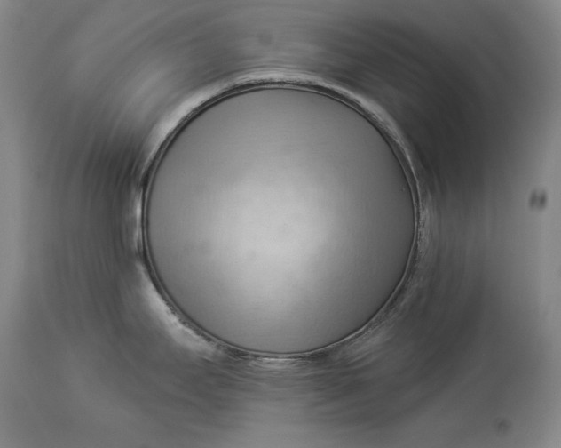 X0000114531295200911091102