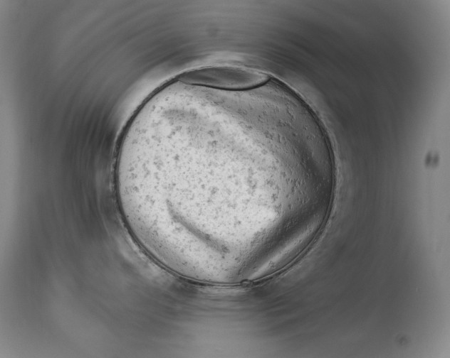 X0000114531296200911091102