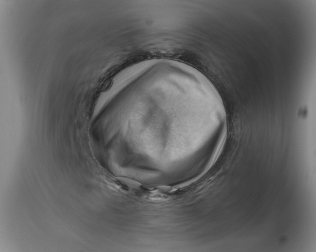 X0000114531297200911091102