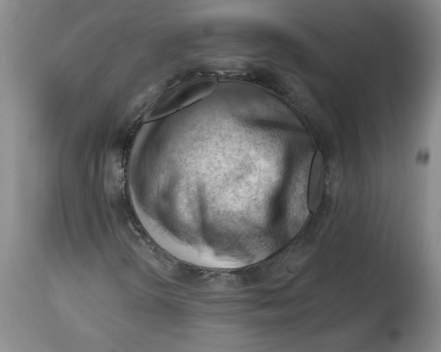 X0000114531298200911091102
