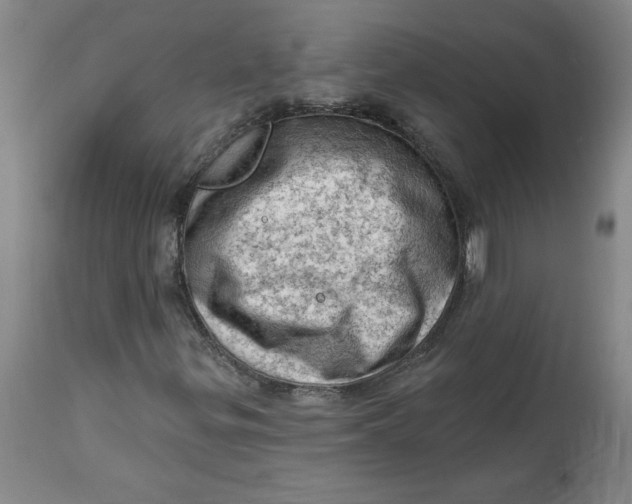 X0000114531299200911091102