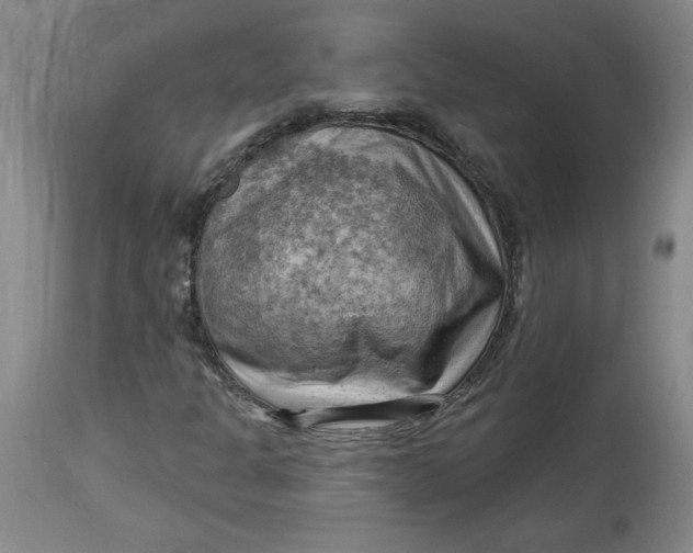 X0000114531301200911091102