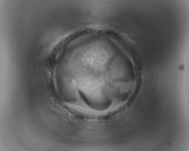 X0000114531302200911091102