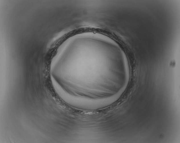 X0000114531303200911091102