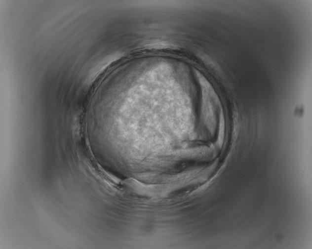 X0000114531305200911091102
