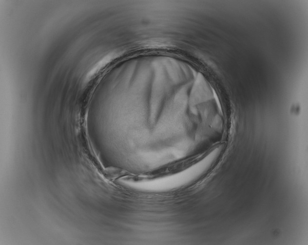 X0000114531306200911091102