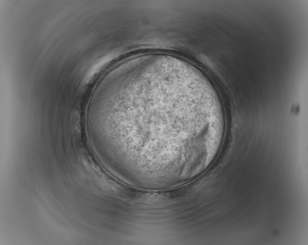 X0000114531307200911091102