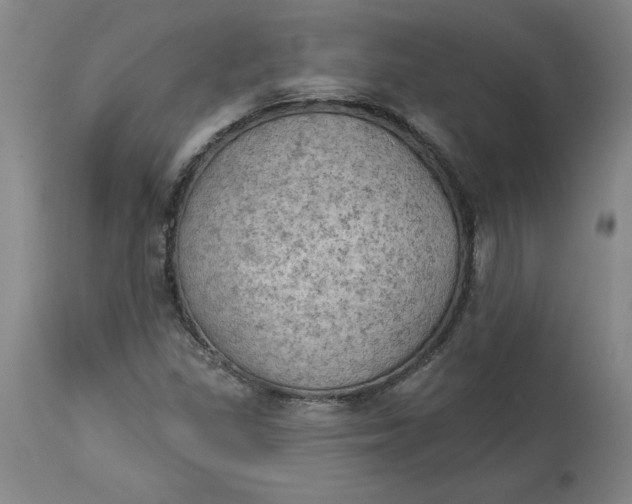 X0000114531309200911091102
