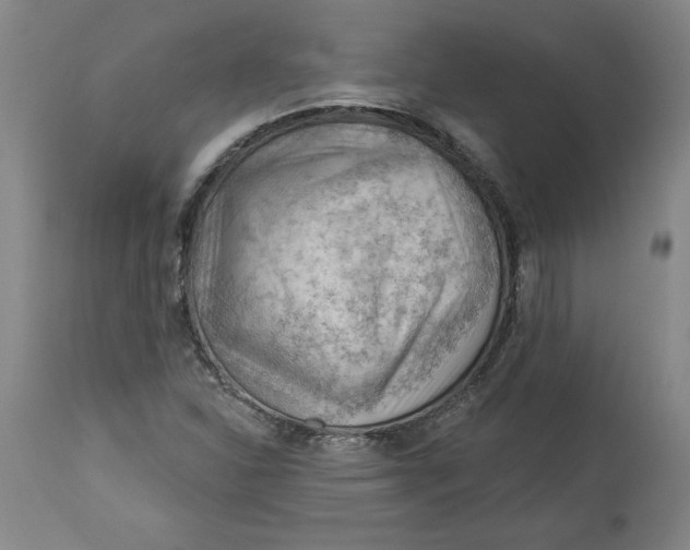 X0000114531310200911091102
