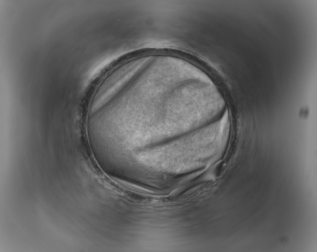 X0000114531311200911091102