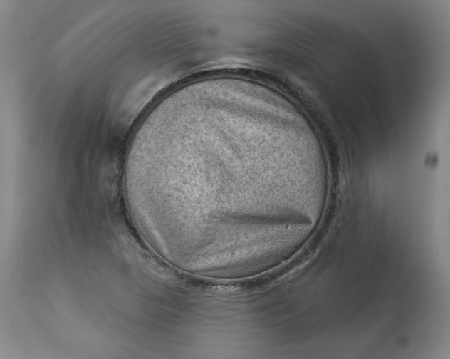 X0000114531313200911091102