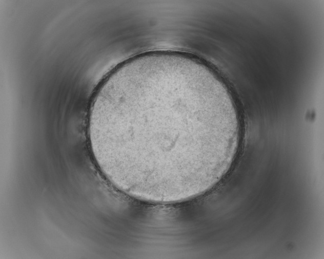 X0000114531314200911091102