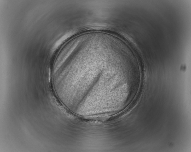 X0000114531317200911091102