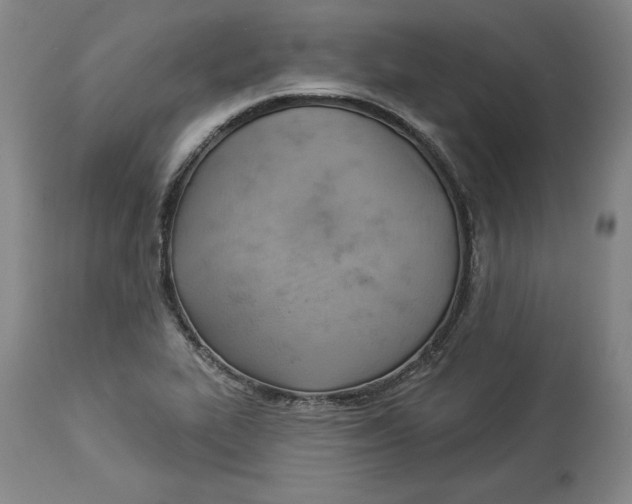 X0000114531319200911091102