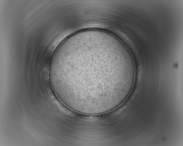 X0000114531321200911091102