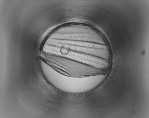 X0000114531323200911091102