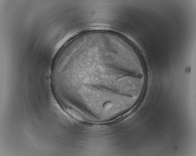 X0000114531325200911091102