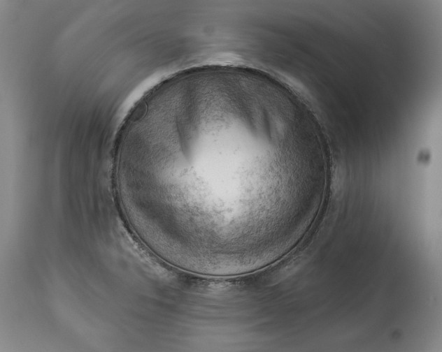 X0000114531326200911091102