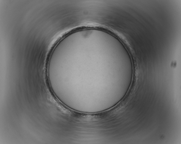 X0000114531327200911091102