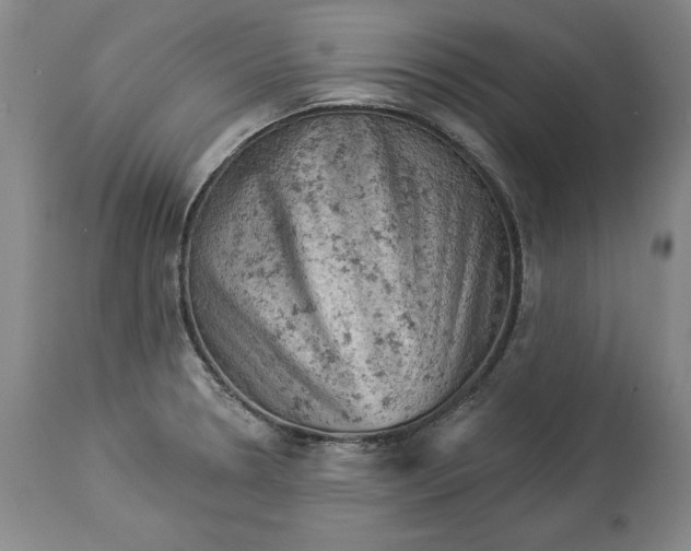 X0000114531330200911091102