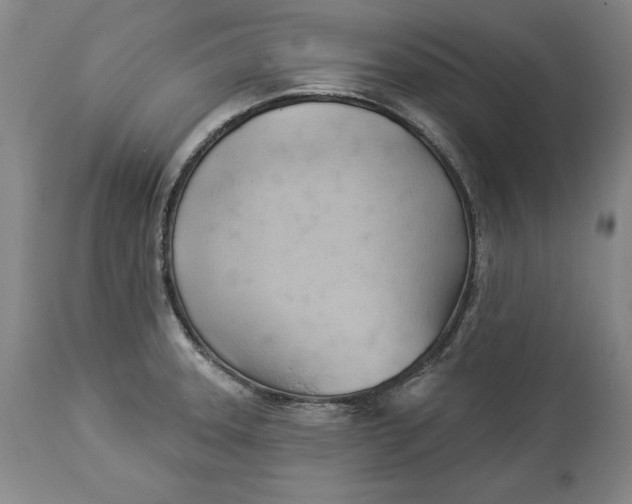 X0000114531331200911091102