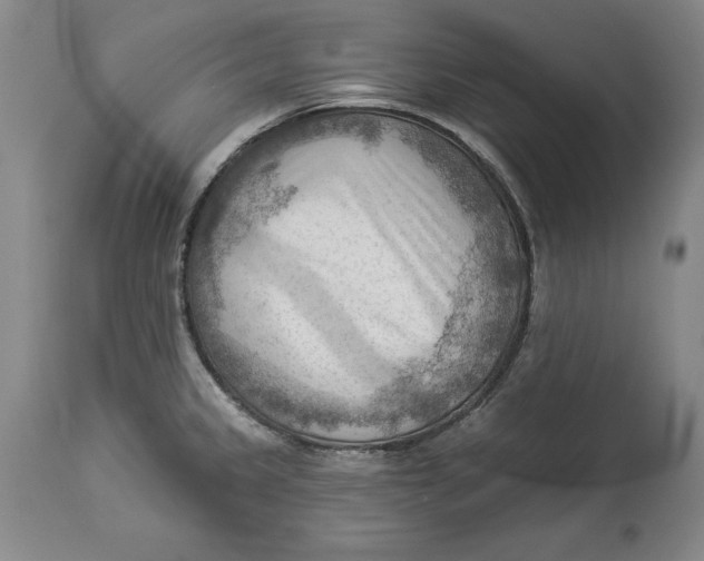 X0000114531333200911091102
