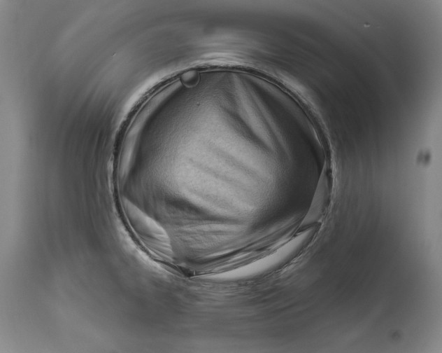 X0000114531334200911091102