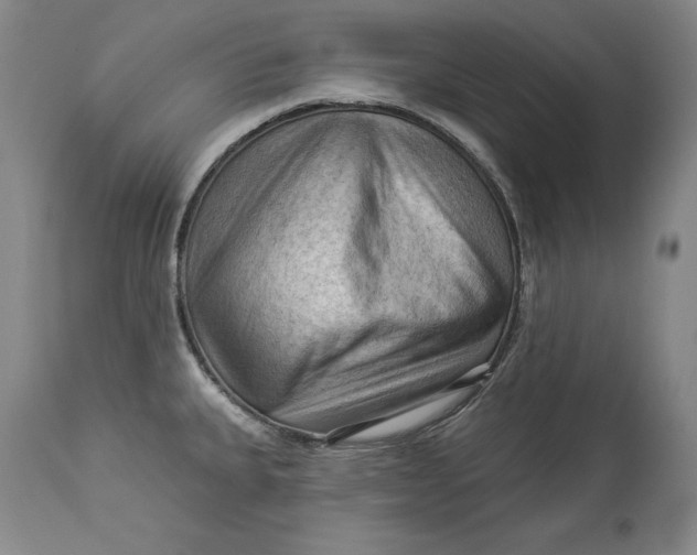X0000114531335200911091102