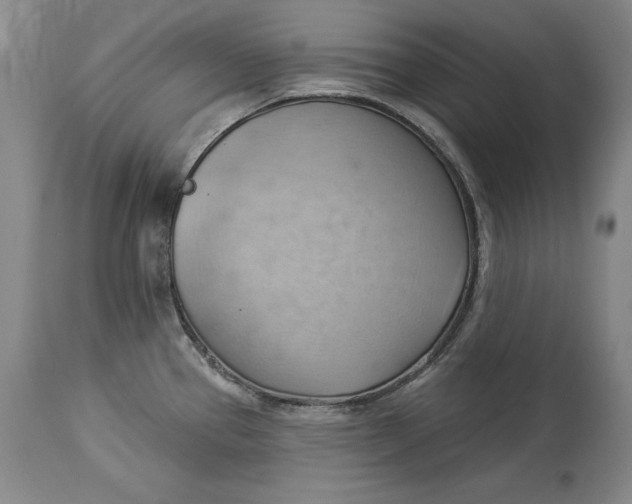 X0000114531337200911091102