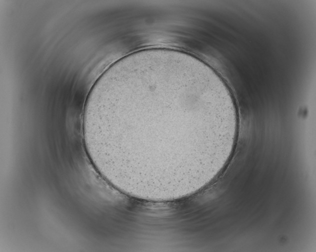 X0000114531338200911091102