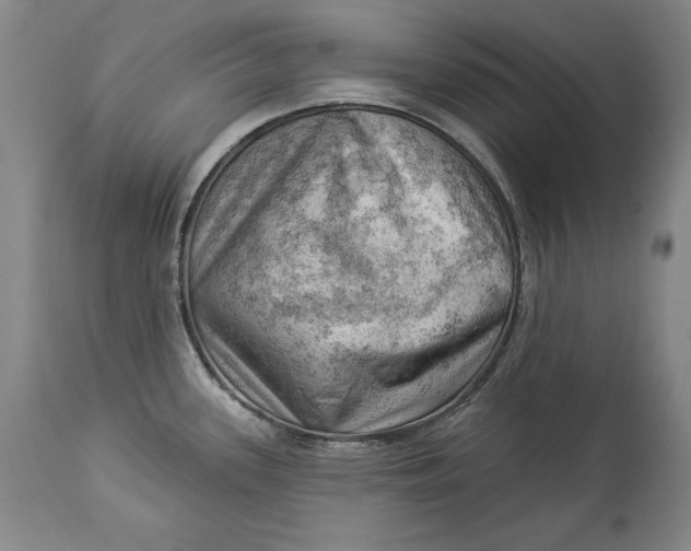 X0000114531339200911091102