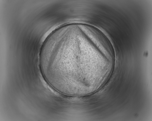X0000114531341200911091102