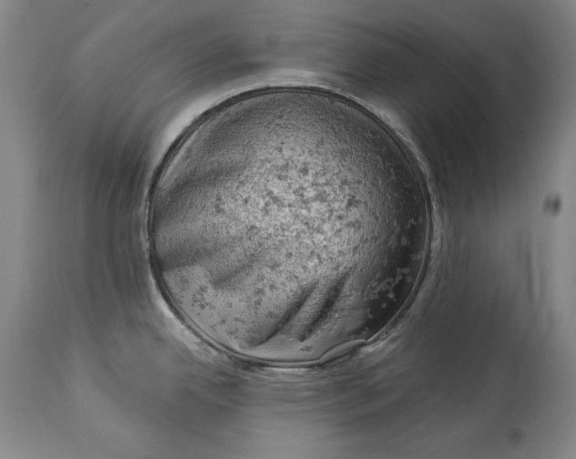 X0000114531342200911091102