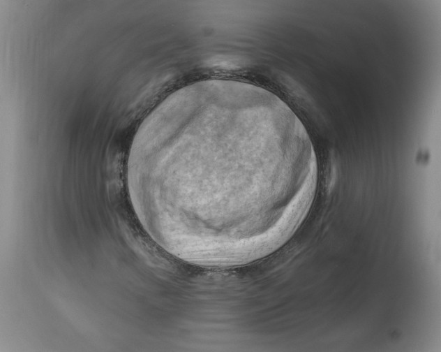 X0000114531346200911091101