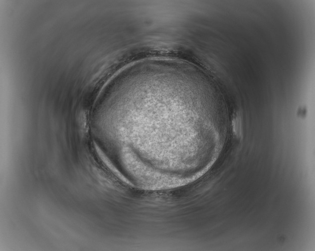 X0000114531347200911091101