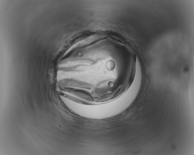 X0000114531348200911091101