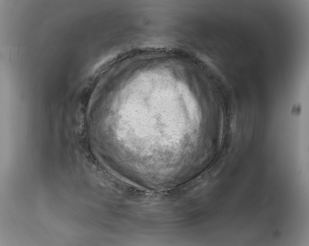 X0000114531350200911091101