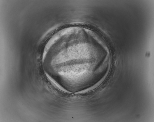 X0000114531351200911091101