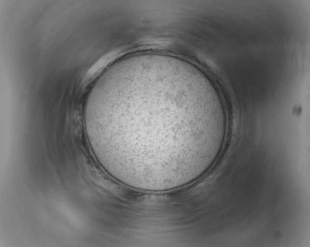 X0000114531354200911091101