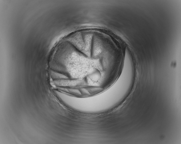 X0000114531357200911091101